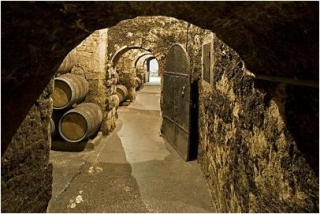 La bodega subterranea